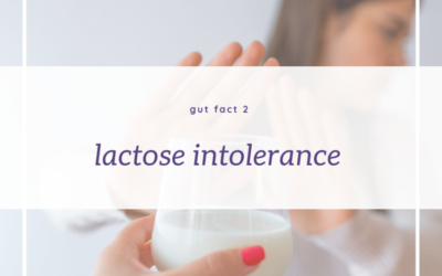 Gut Fact 2 – Lactose intolerance – You don’t need to give up dairy!