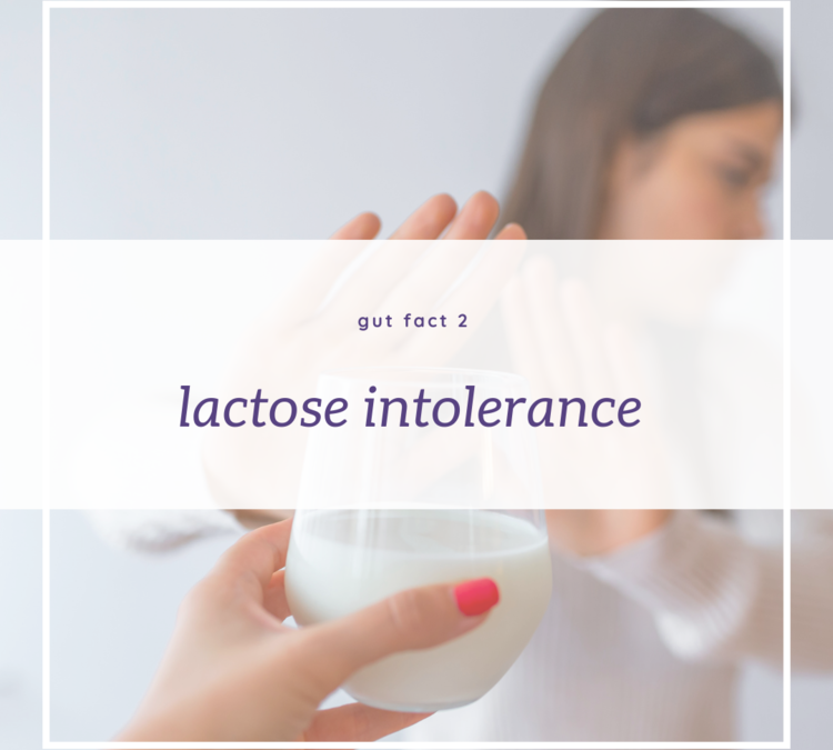 Gut Fact 2 – Lactose intolerance – You don’t need to give up dairy!