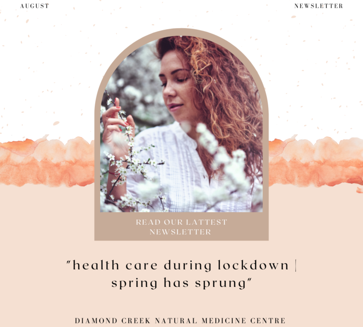 health care during lockdown | Spring