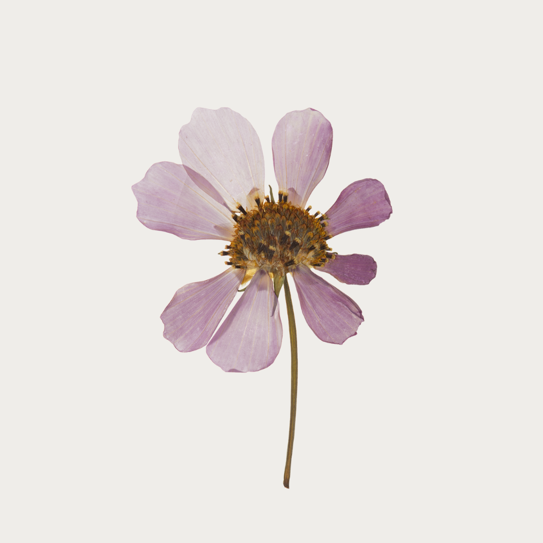 new blog post naturopathy