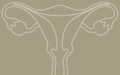 All About Ovulation